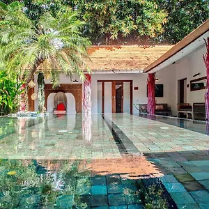  Villa The Secret Jungle